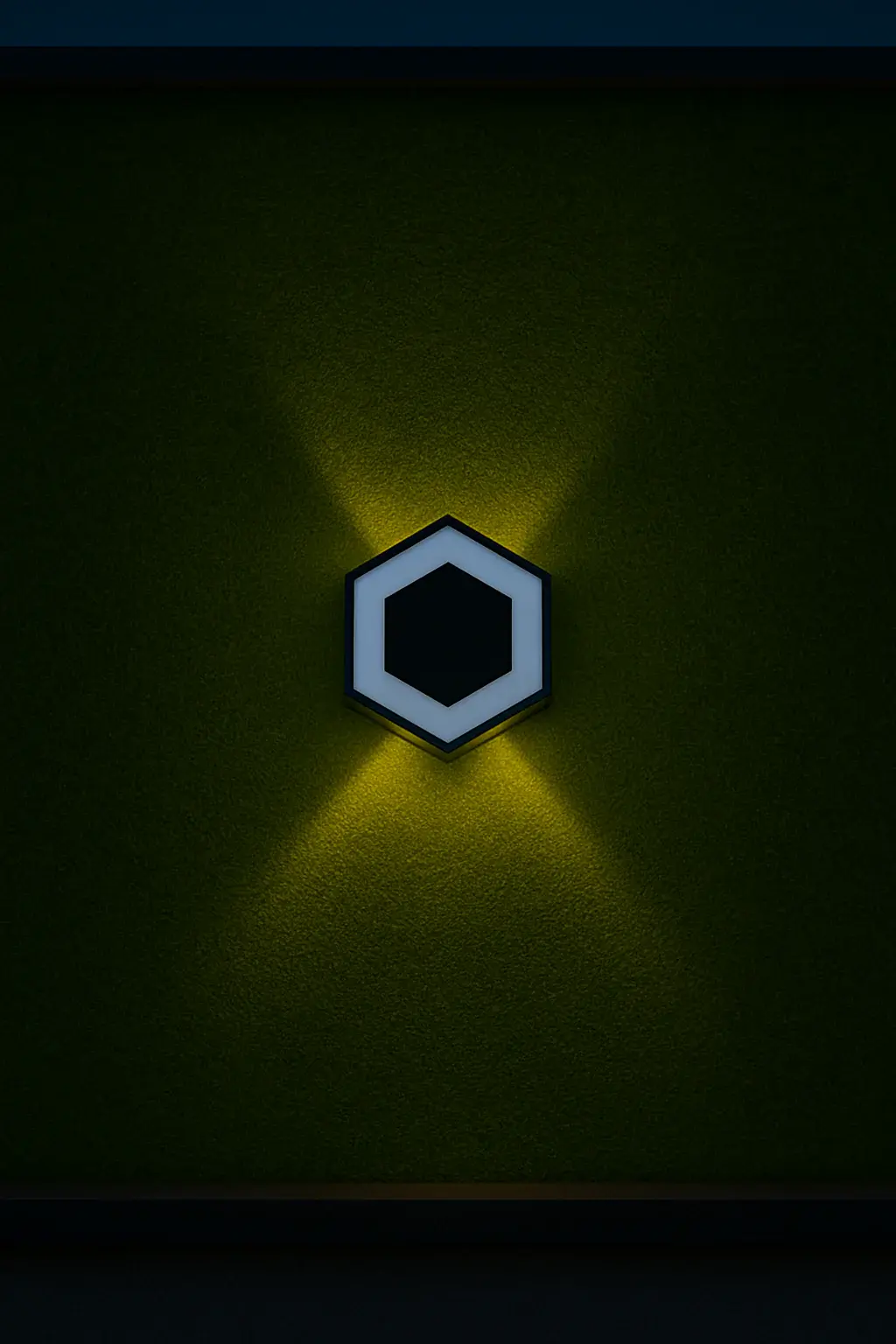 Up and Down Wall Washer Lights | F-7023/2+2W